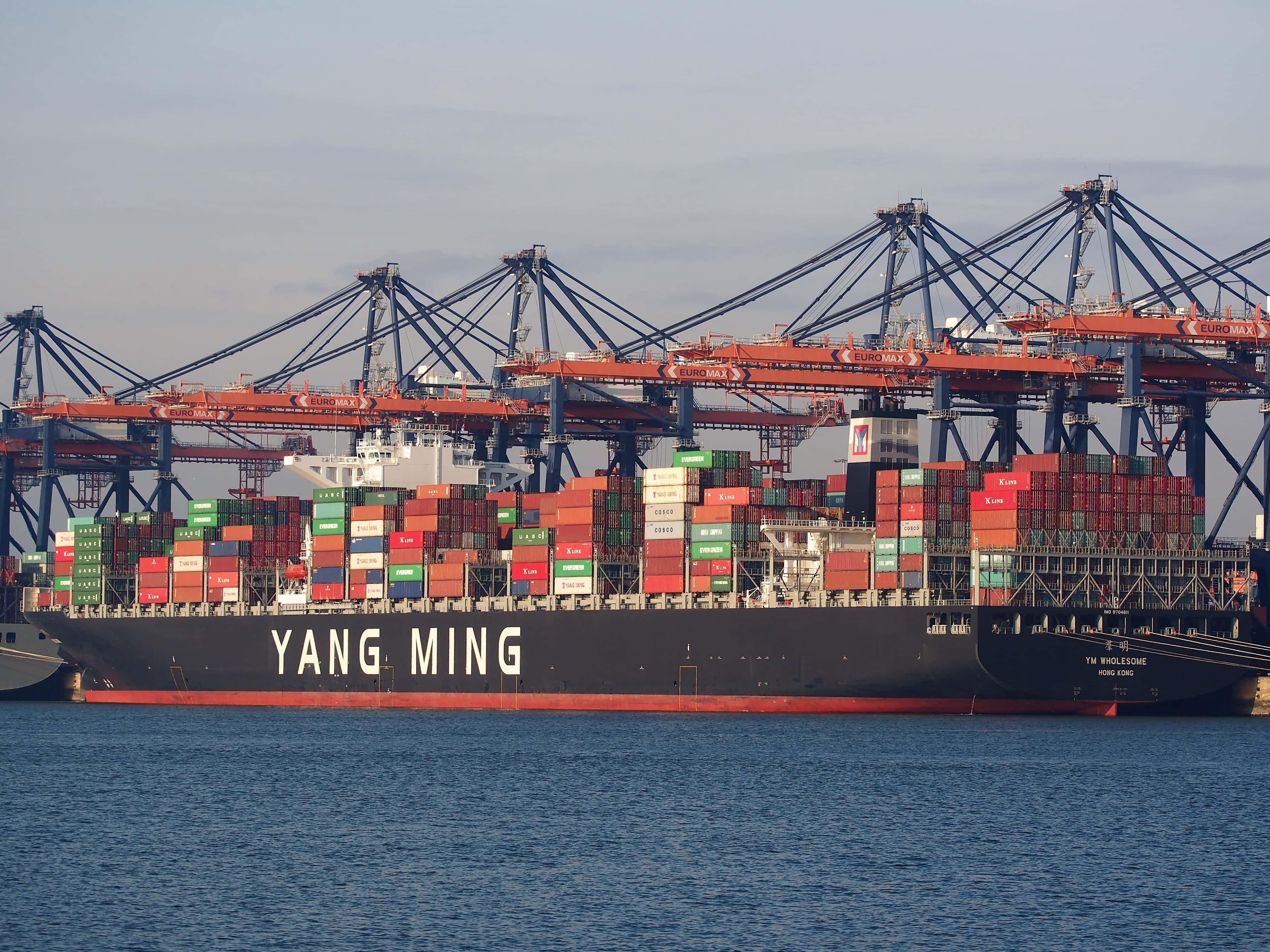 Container terminal at the Port of Rotterdam