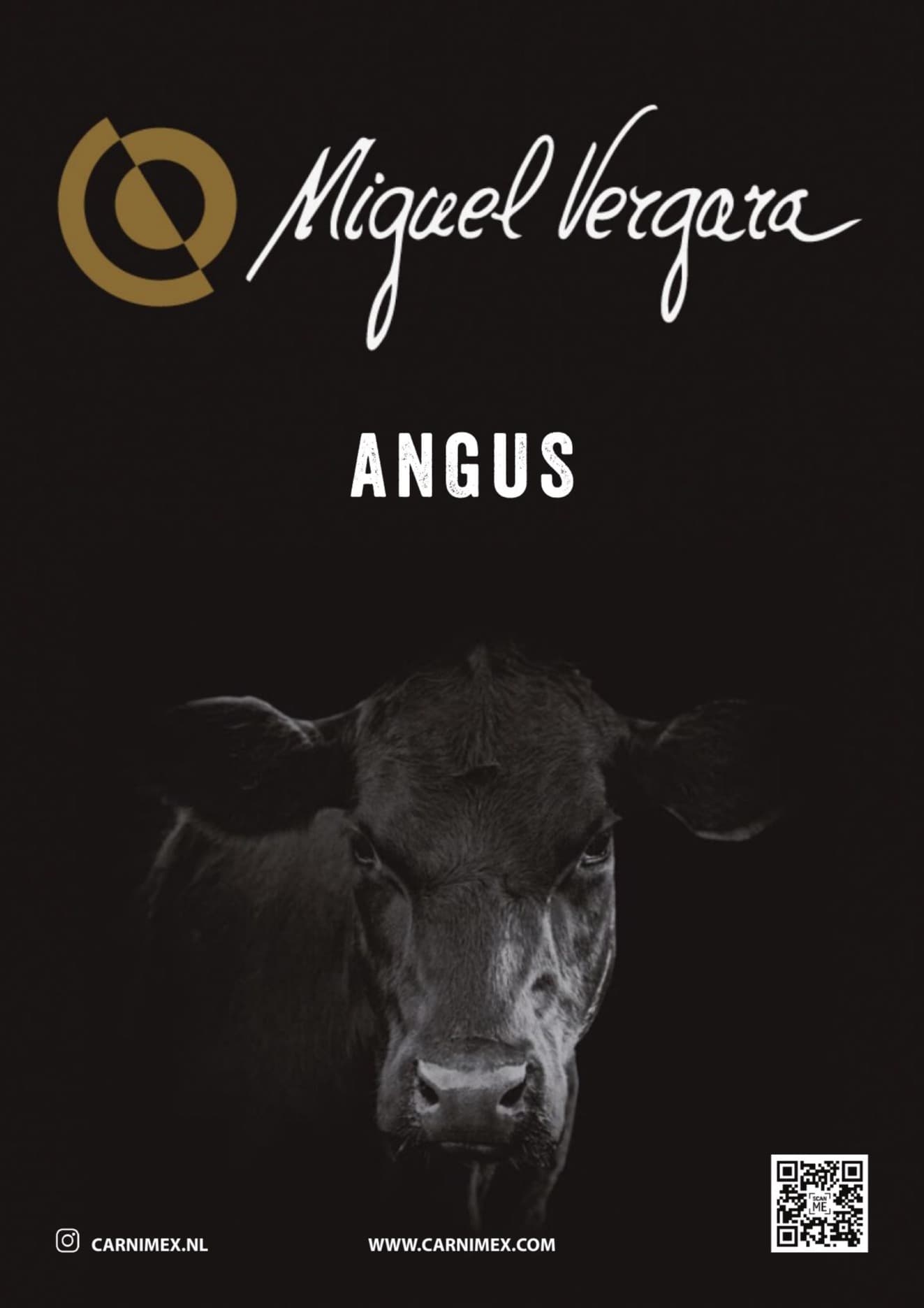 Miguel Vergara product brochure cover
